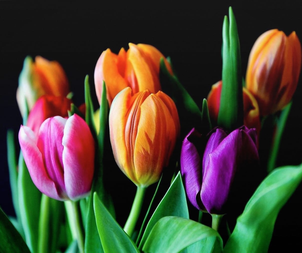 Vijf dingen die je vooraf moet weten over een bloemenfotozone op je bruiloft